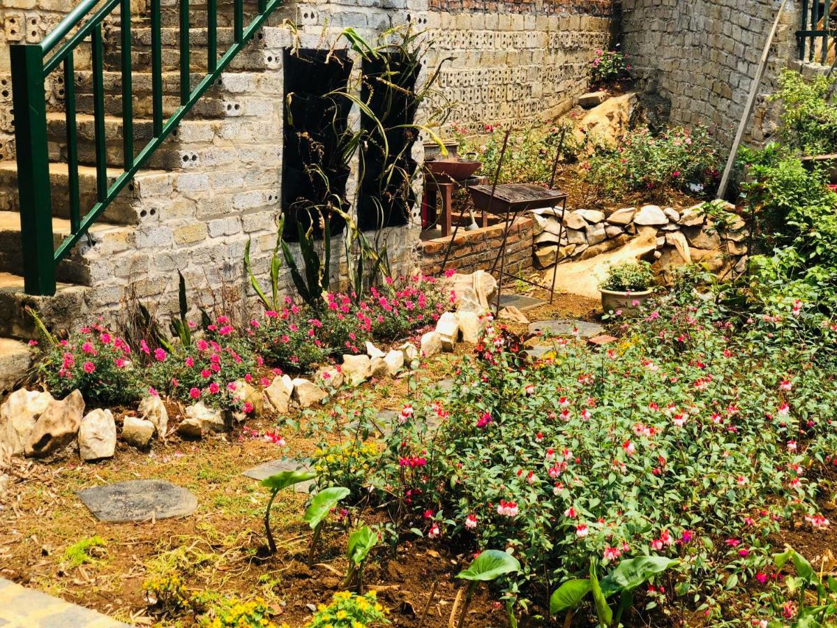 Youth Homestay